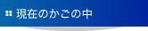 現在のカゴの中